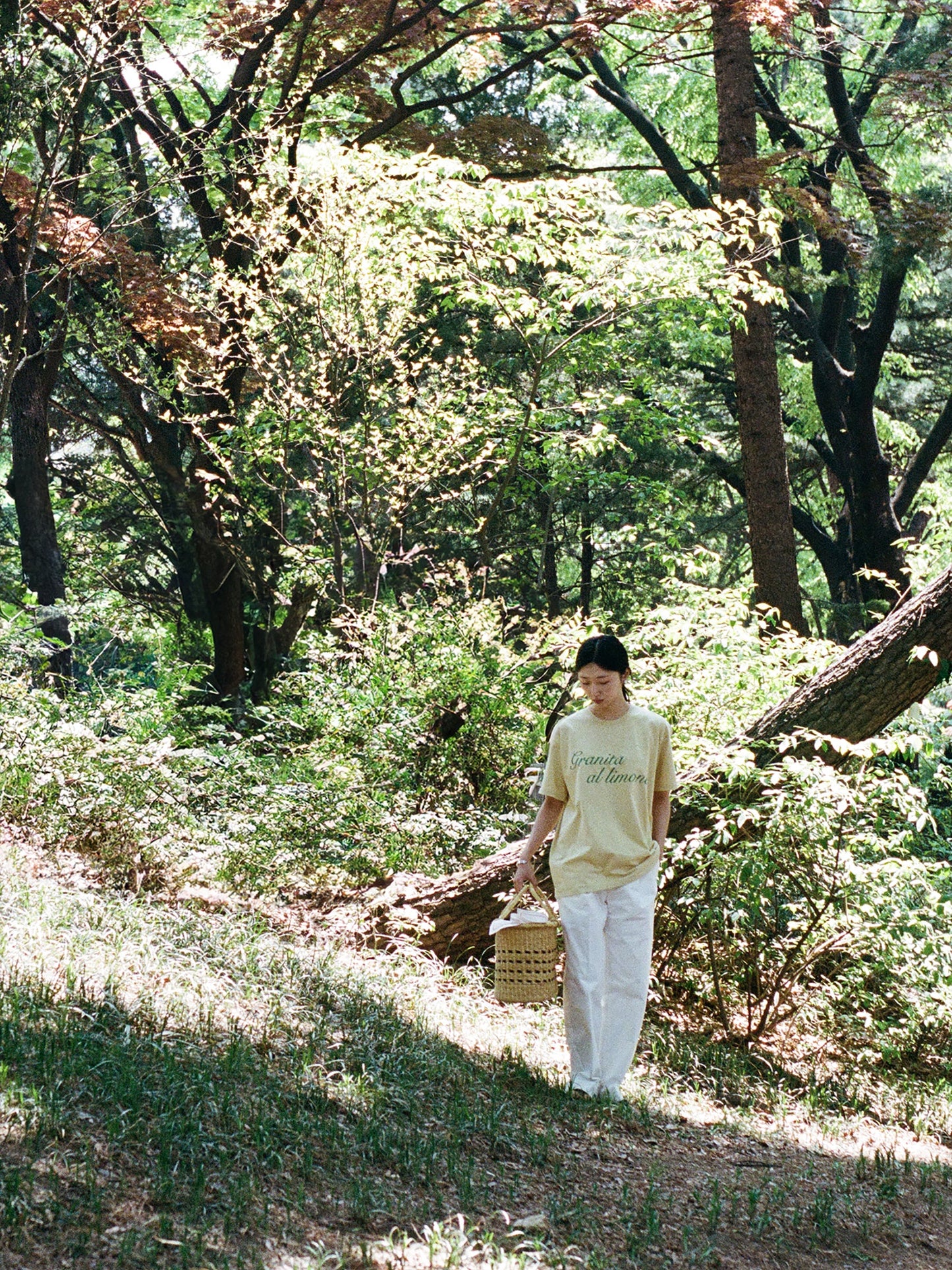 (-30%) SICILIAN BREAKFAST TEE [ Vintage Lemon ] Summer Edition